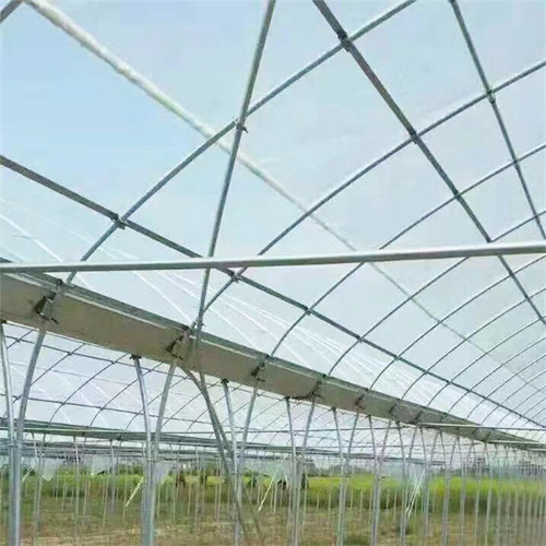 蔬菜大棚骨架在種植大棚中有怎樣的優(yōu)勢