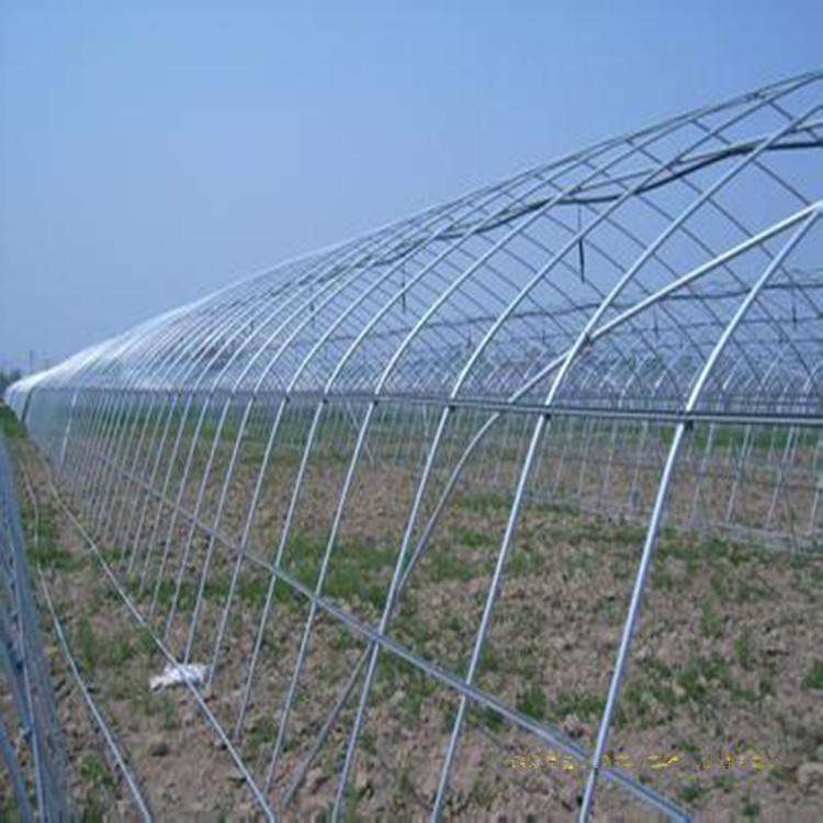 大棚管廠家-鍍鋅大棚管一個(gè)多少錢