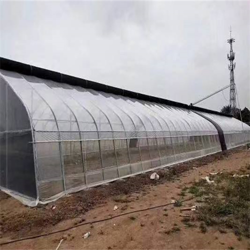 天津鋼管公司帶您了解大棚的種類