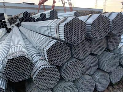 蓋養(yǎng)豬大棚有什么需要注意的地方